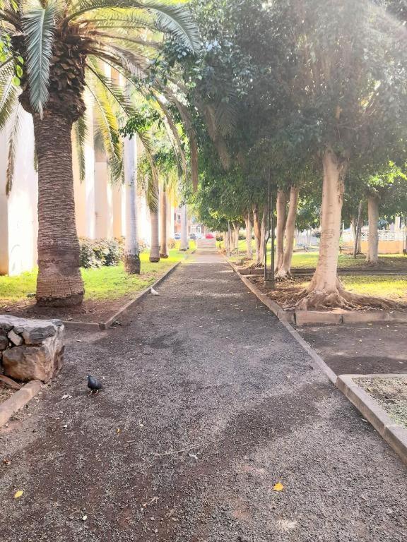 Alfa Omega Aparthotel Puerto de la Cruz  Ngoại thất bức ảnh